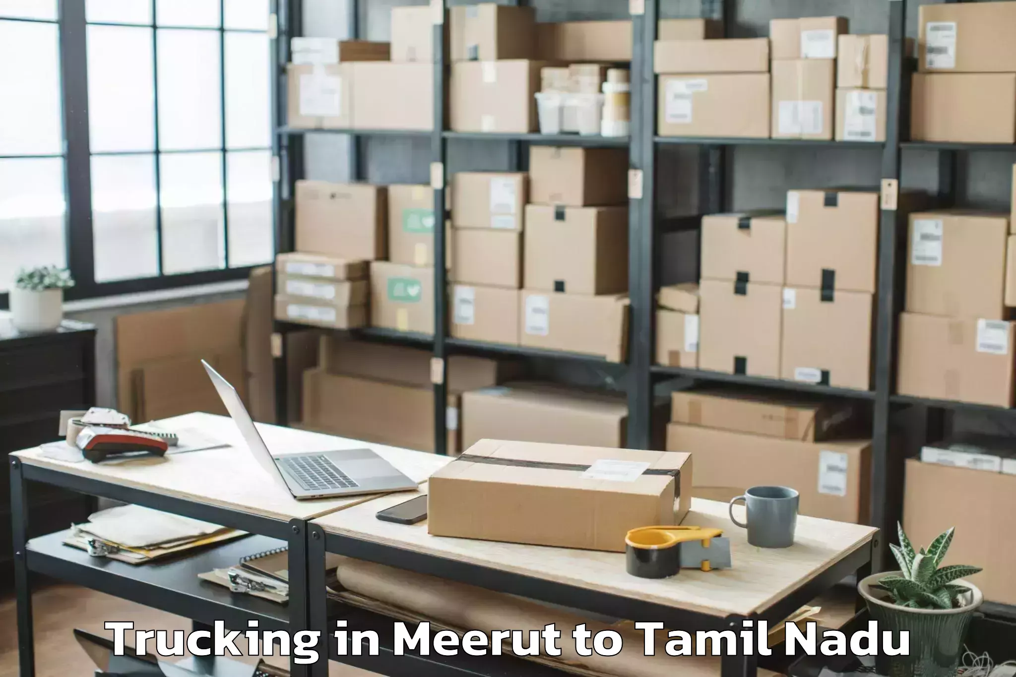 Professional Meerut to Tiruchchendur Trucking